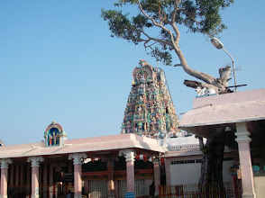 palani dhandapani temple