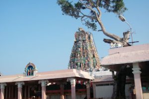 palani dhandapani temple
